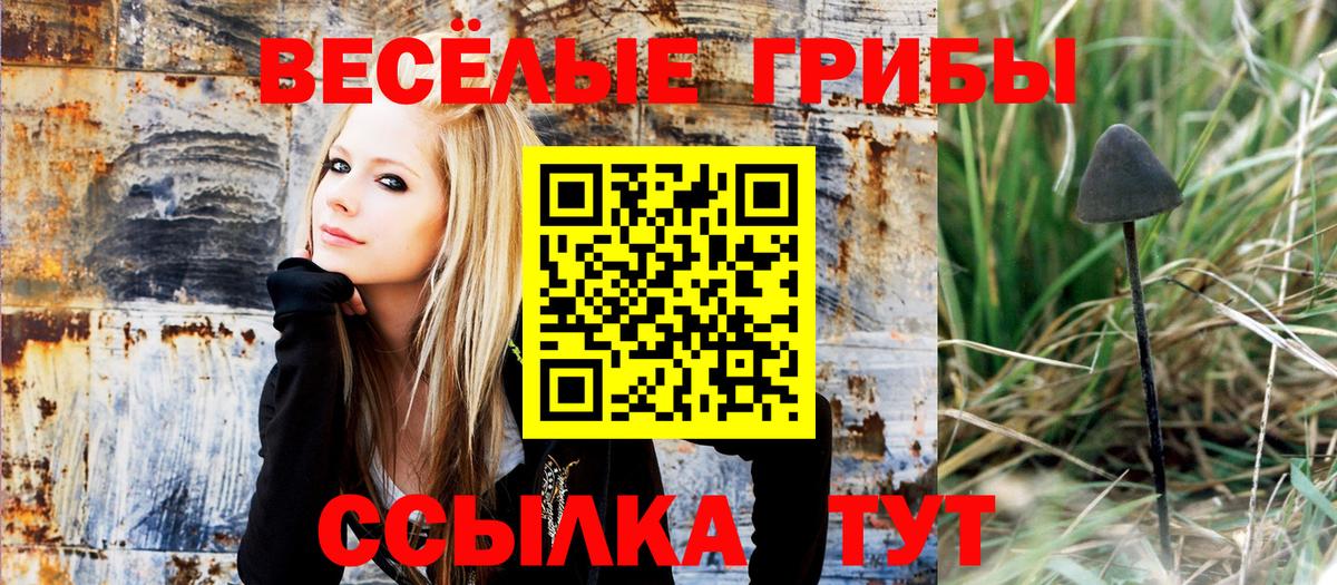 Галлюциногенные грибы MAGIC MUSHROOMS  Псилоцибиновые грибы MAGIC MUSHROOMS  наркотики  Вязники  Вход с VPN 